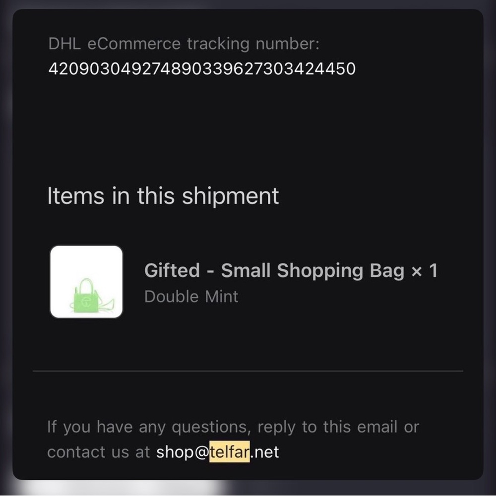 Telfar Small Shopping Bag in Mint Green
